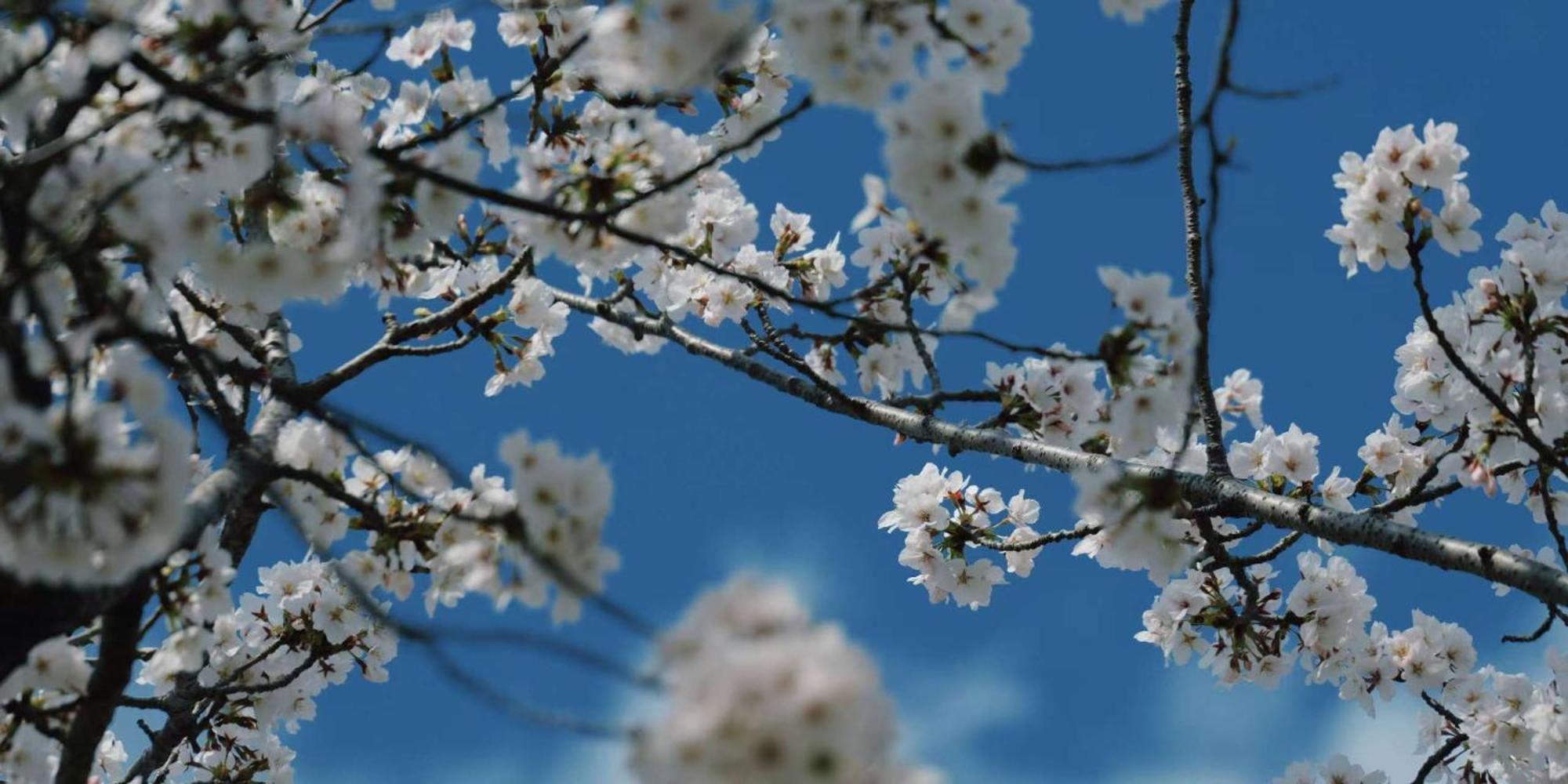 فيلا - 森麟社 - 新築戸建 Moririnsha Japanese Style كيوتو المظهر الخارجي الصورة