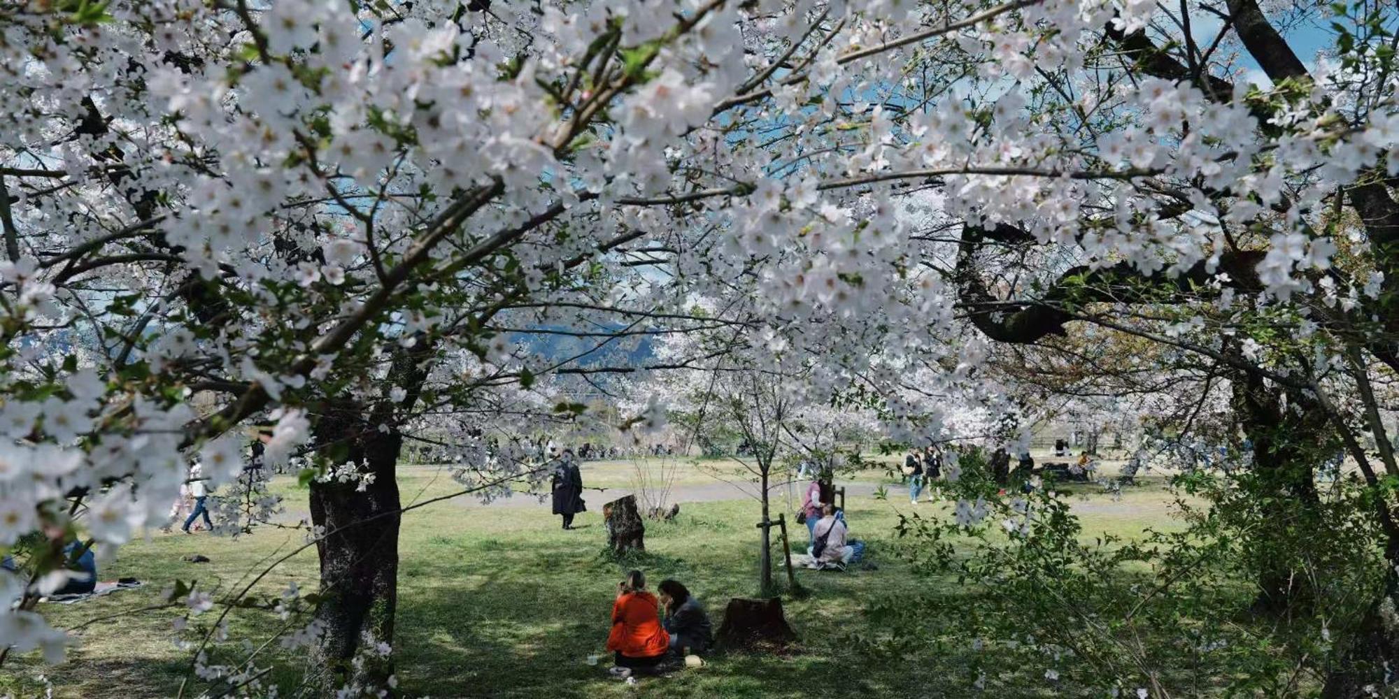 فيلا - 森麟社 - 新築戸建 Moririnsha Japanese Style كيوتو المظهر الخارجي الصورة